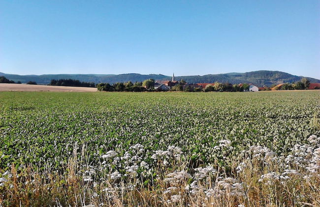 Monteurwohnung Langelsheim 6 Personen - Photo 20
