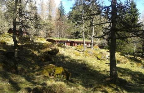 Our Log House in the woods - Photo 26