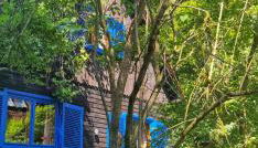 Forsthaus Sommerleite - Foto 4