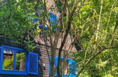 Forsthaus Sommerleite - Photo 4