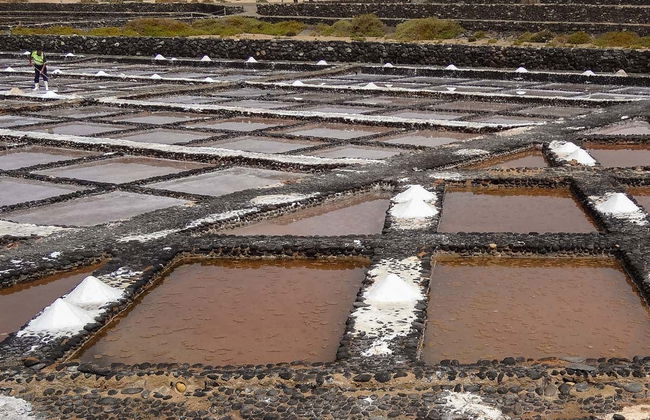 Caleta de Fuste Buggy Tour - Foto 2