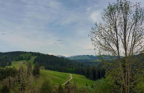 Apartment Hirsch - Foto 8