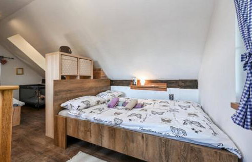 Holiday home DEDINA HIŽICA - Foto 8