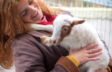 Kamihis Farm House Experience - Foto 32