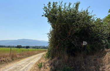 Casa Cabeço do Barragão - Photo 38