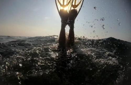 Palm House - Foto 31