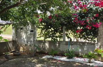 Refúgio das Gameleiras - Foto 15