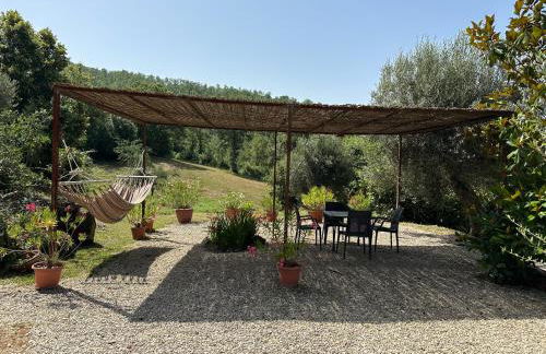 Cà di Mora - Photo 29