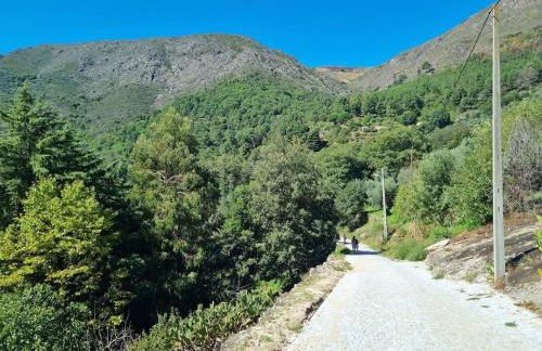 Casa de Aldeia Vale do Mondego - Foto 12