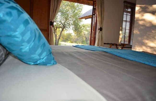 Silonque Bush Estate & Spa - Foto 4