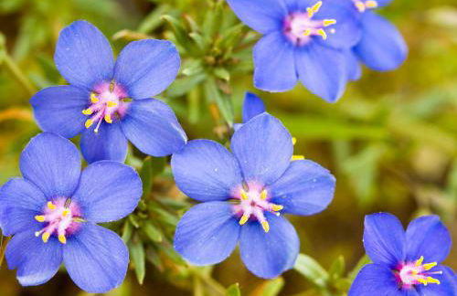 Casa Babel Monfragüe - Foto 29