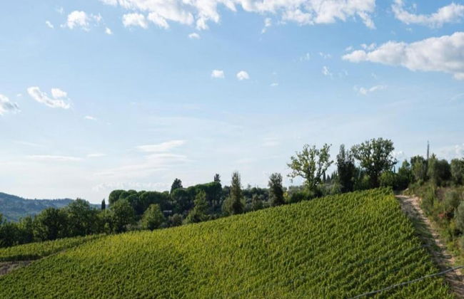 Tuscany Bliss: Garden Retreat - Foto 26