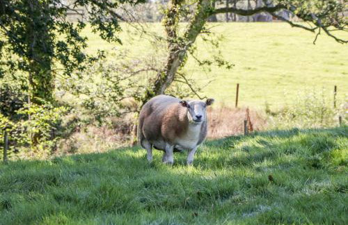 Breaches Barn - Foto 37