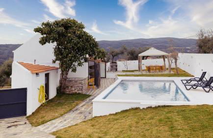 Pomar das Oliveiras - Private Swimming pool - Free EV Chrg - Pet Friendly - Foto 70