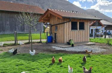 Beim Heiß'n - Photo 10