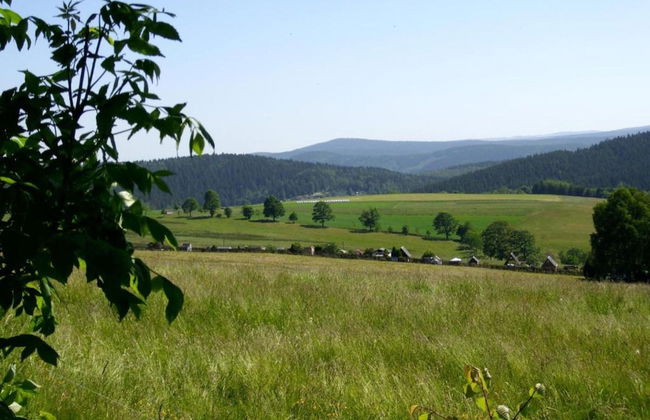 Ferienhaus mit Schwimmbad in Jagersgrun - Foto 37
