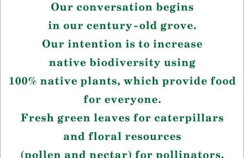 Olive Lemon Biophilic House & Lush Forest Garden - Foto 52