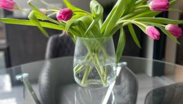 Moderne Ferienwohnung in Waldrandlage mit einem Hauch von Luxus - Foto 3