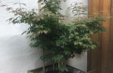 Appartement au calme - 3 étoiles - Foto 21