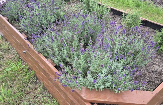 Siedlisko Milachowo luxury wellness - Photo 78