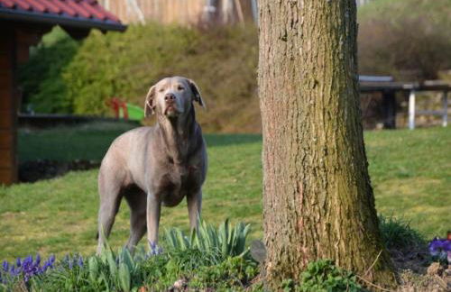 Ferienhof Pfeiffer - Foto 25