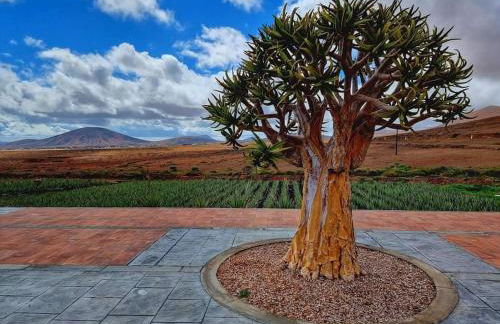 Air-conditioned flat Casa Freesia Caleta de Fuste - Foto 68