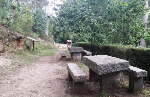 Apartamentos A Palleira - Foto 43