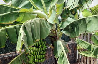 Siempre Feliz La Casita Escanfraga - Foto 25