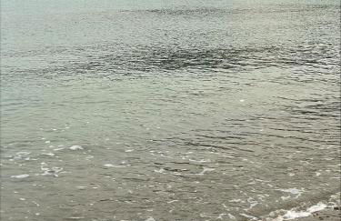 Terrazza Ammare - Foto 25