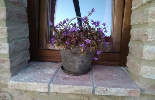 agriturismo Poggio Monte Saturnia - Foto 148