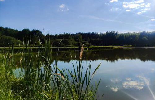 Leśna Osada Szegdy - Foto 10