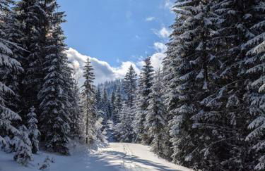 Ferienwohnung Gartenglück - Foto 66