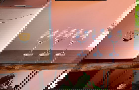 Fazenda Santa Amalia - Foto 25