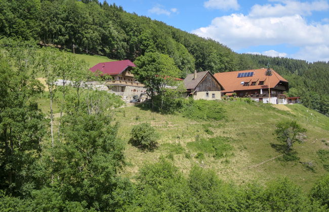 Schmalzenhof - Foto 25