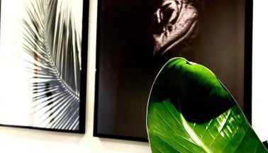 Jungle garage privé netflix - Foto 5