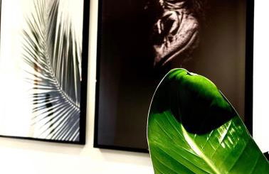 Jungle garage privé netflix - Foto 5