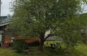 Pine Cabin, Strathyre. A cosy escape from it all. - Foto 13