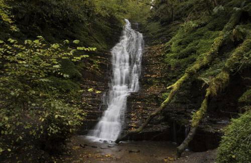 Lavender Lodge - Photo 20