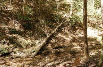 Modern Mirror Home w/ Hot-tub | “Glass House” #2 - Foto 8