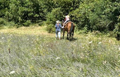 Golden Valley apartment & ranch - Foto 8