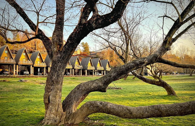 Wrong Way River Lodge & Cabins - Foto 24