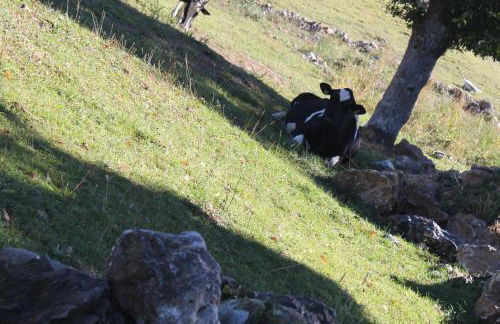 Casa Rural Las Machorras I y II - Foto 24