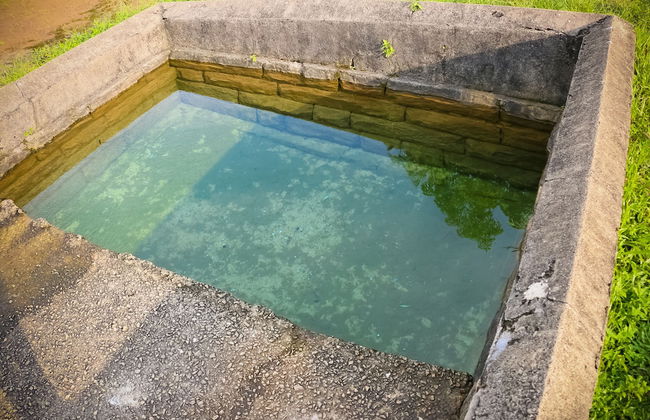 Horahena Farm Stay - Foto 29