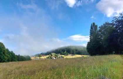 Ferienwohnung Hardt im Schwarzwald - Foto 23