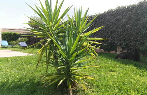 VILLA A 200 METRI DALLA SPIAGGIA - Foto 34