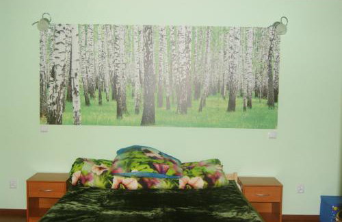 Waszczyszynówka Bieszczady - Foto 26