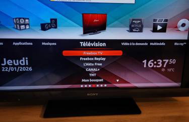 Le petit marché de Sainte Cécile- Centre historique Albi - Photo 23