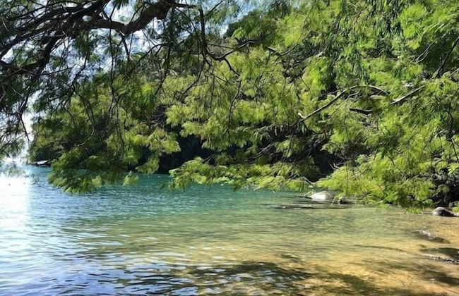 VISTA INCRIVEL PRAIA GRANDE - Foto 43