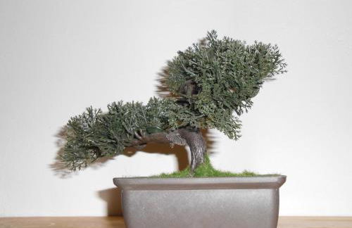 El Portal Viejo - Foto 16