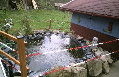 Beautiful Apartment in a Black Forest House With Conservatory - Foto 90